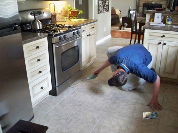 Ratproof your home