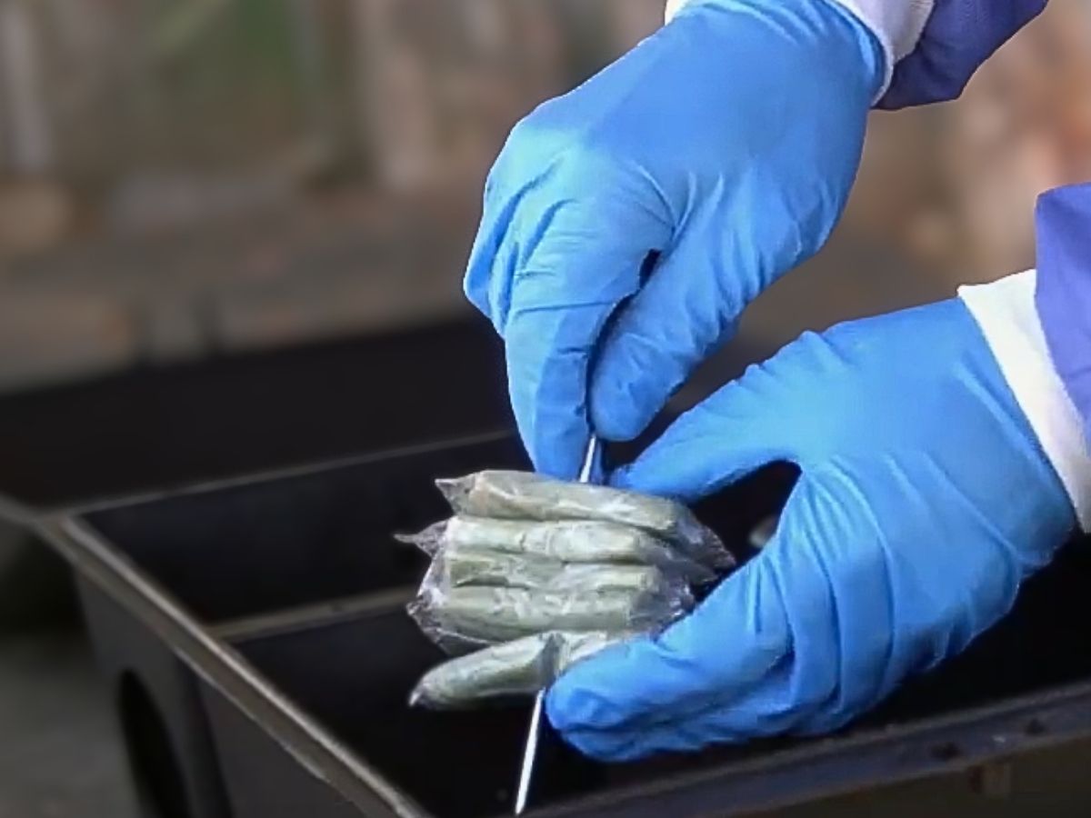 Selontra soft bait used as the first step in a rodent treatment