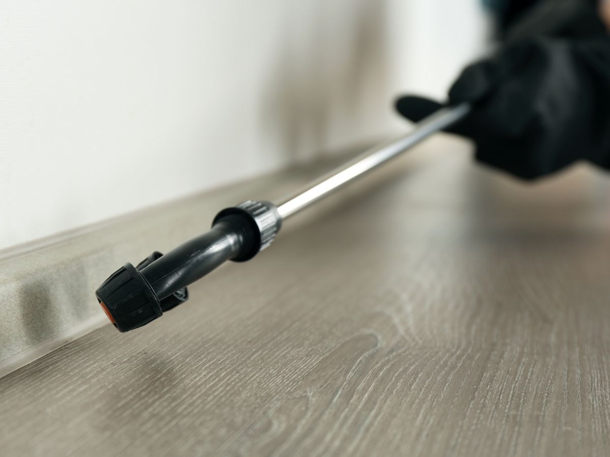 Licensed technician spraying a residual surface treatment for spiders