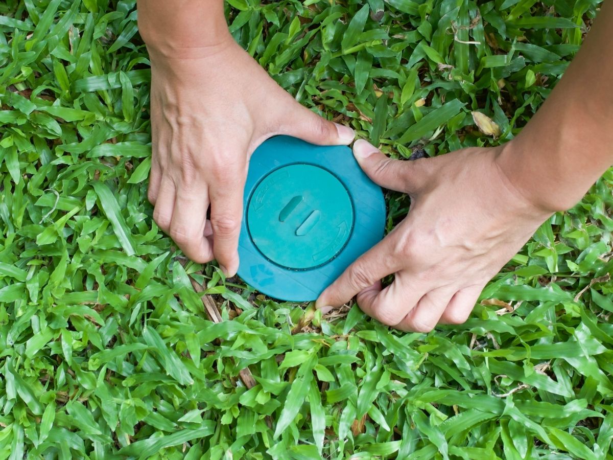 Termite bait station installed in the ground beside a Melbourne home