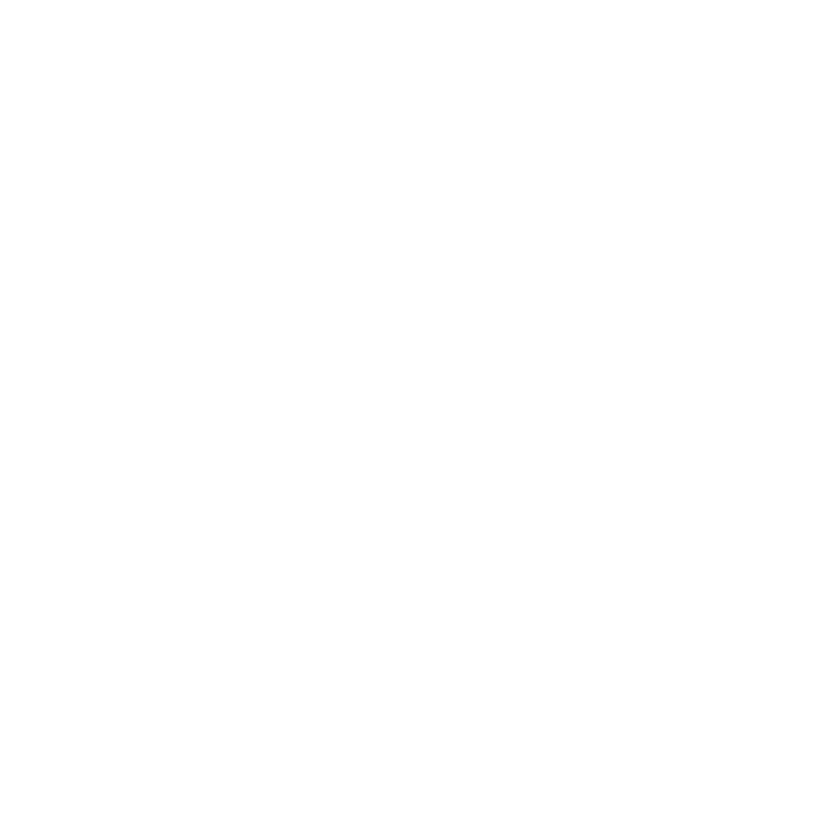 Brushtail possum icon
